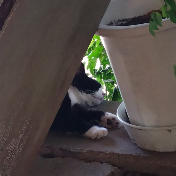 ぼちぼち三河の温泉でリラックス